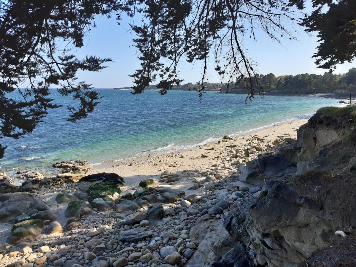 Agape, Elegant T2, 4 Etoiles, Plage Et Gr34 3Km, Centre Ville 750M Fouesnant Eksteriør bilde